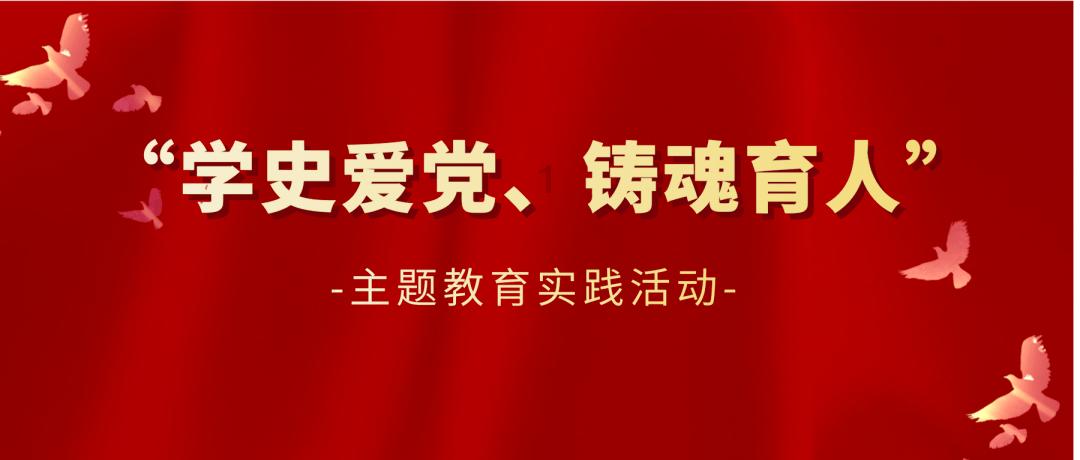 谁说阳台不能养藤本月季？我偏要种